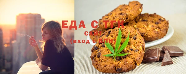 шишки Магас