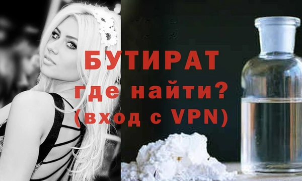 шишки Магас
