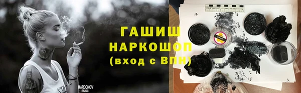 шишки Магас