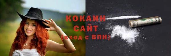 шишки Магас