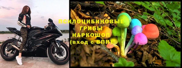 Альфа ПВП Магадан