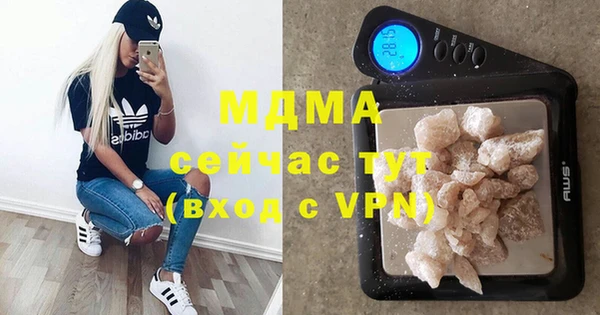 шишки Магас