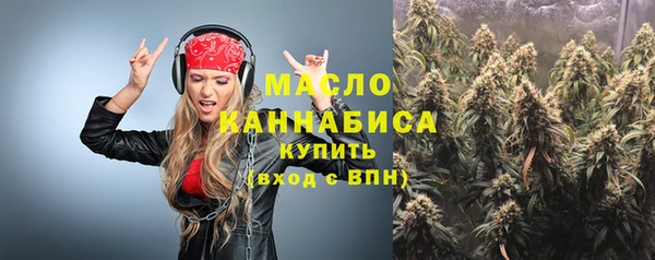 шишки Магас