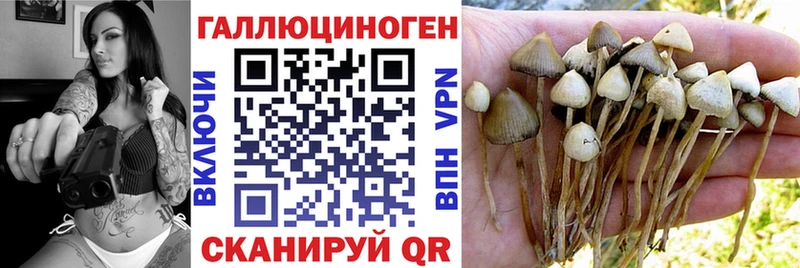 Псилоцибиновые грибы мицелий Сим